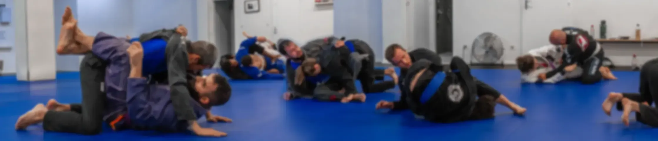 Élèves de LMNT en kimono s'entraînant au sol sur le tatami bleu.